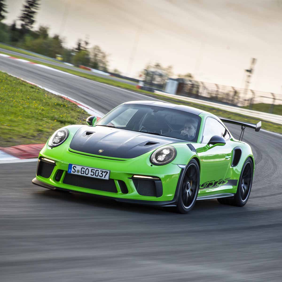 Luna Porsche Lizard Green M6B | Paint To Sample